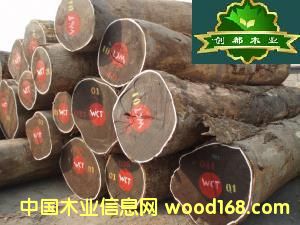 ���u��ľ��Ԕ����B