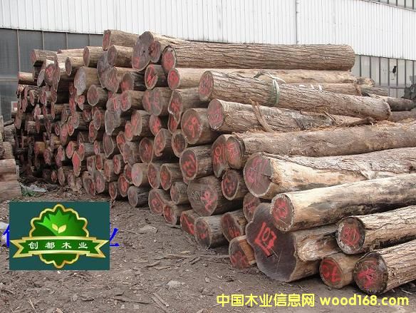 �������S̴��Ԕ����B