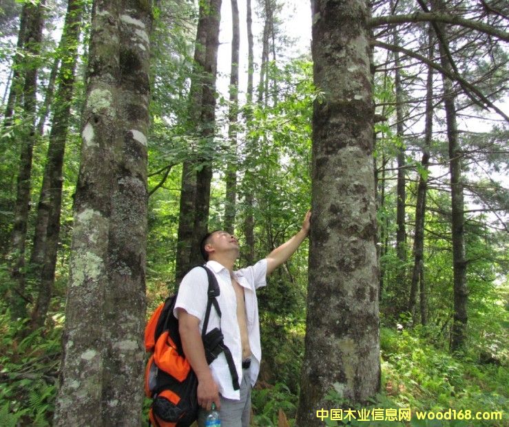 �Ĵ�ʡ�VԪ���ɘ���ˮ����11000�������D(zhu��n)׌��Ԕ����B