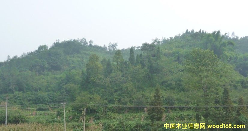 �Ĵ�ʡ�ɶ���߅3000�஀�ò��ֵ��D(zhu��n)׌��Ԕ����B