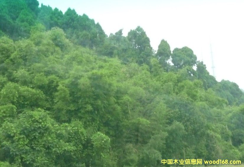 �Ĵ�ʡ�ɶ�2800�஀�ֵ��D(zhu��n)׌��Ԕ����B