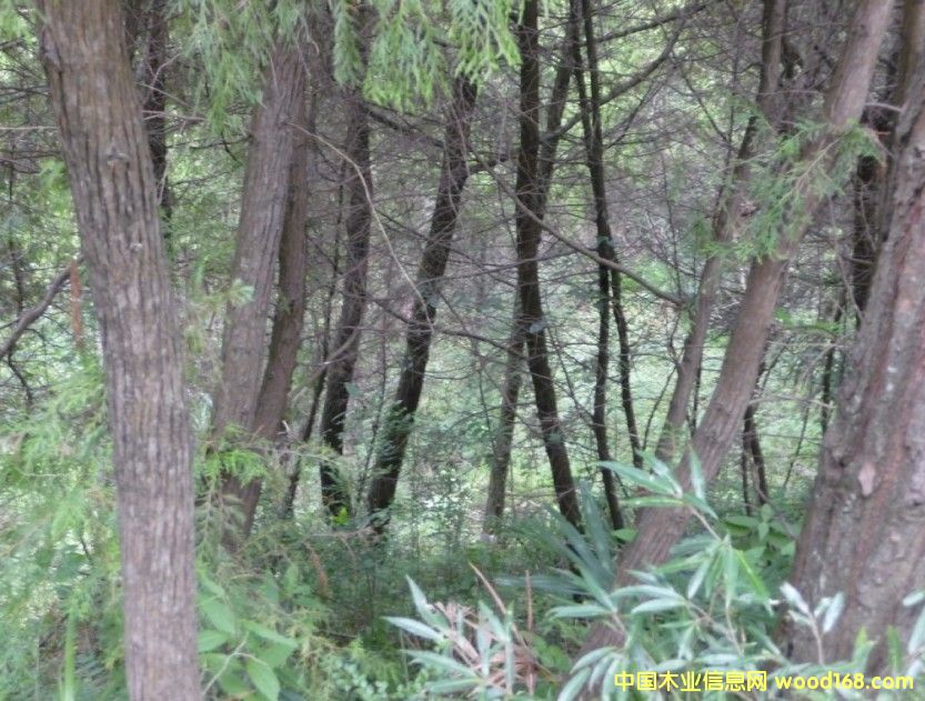 �Ĵ�ʡ�VԪ10000�஀�ɰػ콻�ֵص�Ԕ����B