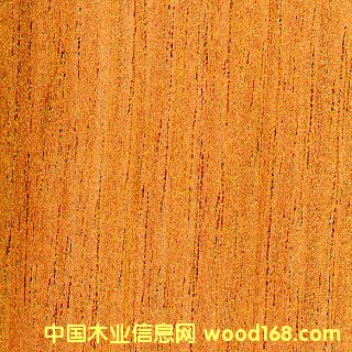 ������ѩ�ɵ�Ԕ��(x��)��B