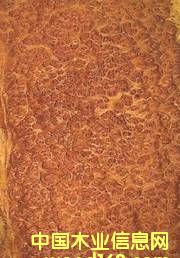 �Nޱ��(sh��)����Ԕ��(x��)��B