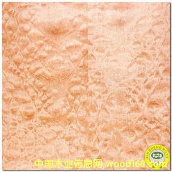 ��yɳ������Ԕ��(x��)��B