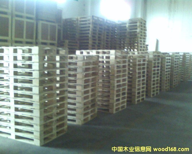 ��ľ/�z�ϰ�ľ�бP��Ԕ��(x��)��B