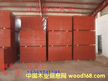 ����ģ���Ԕ����B