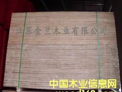 ����ģ���Ԕ����B