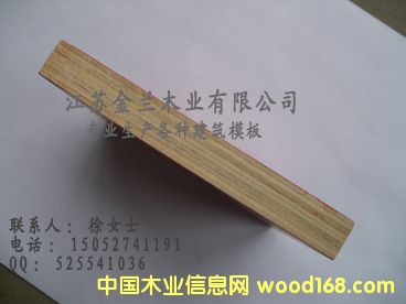 ����ģ���Ԕ����B