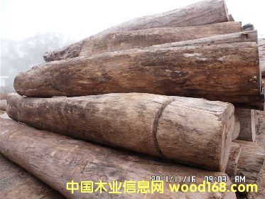 �ϓ���֦ԭľ��Ԕ����B