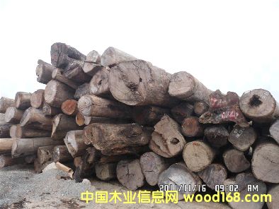 �ϓ���֦ԭľ��Ԕ����B