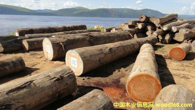 ����ľ��Ԕ����B