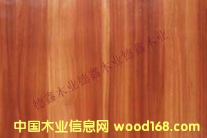 �߹������B(t��i)�h(hu��n)���� 