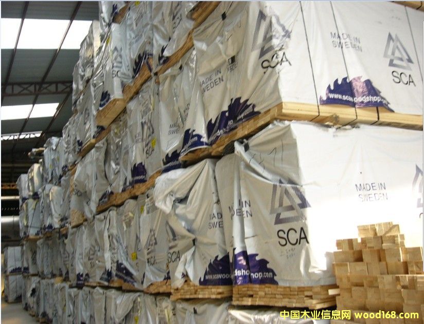 19���W����