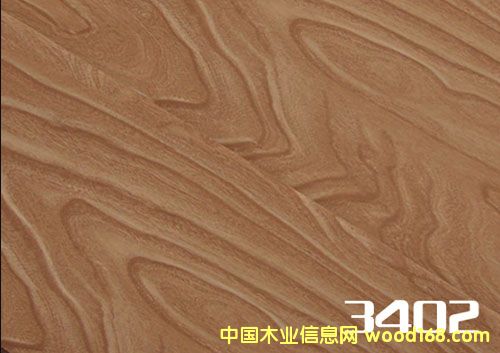 地板的詳細(xì)介紹