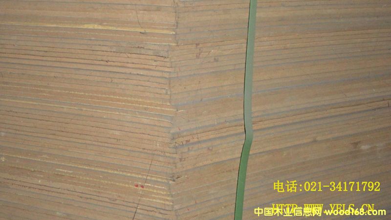 ���ܶ��w�S����N��ľ��Ԕ��(x��)��B