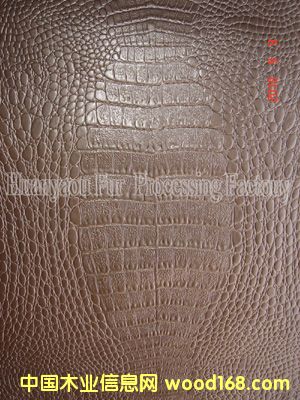 ���N�{�~�y�b�Ƥ