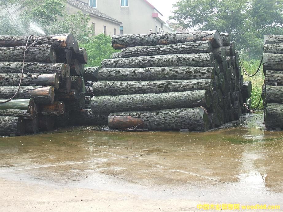 �����ں��ұ���ԭľ�ӹ�����Ԕ��(x��)��B