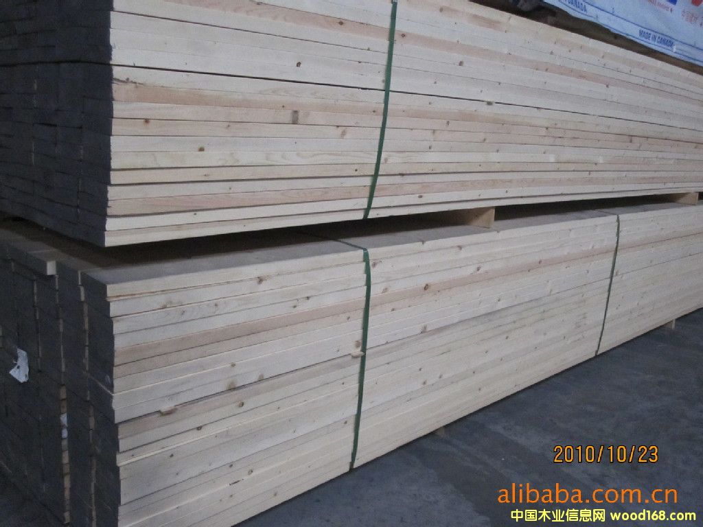 鐵杉的詳細(xì)介紹