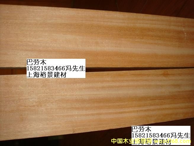 巴勞木的詳細(xì)介紹