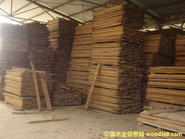 樺木的詳細(xì)介紹