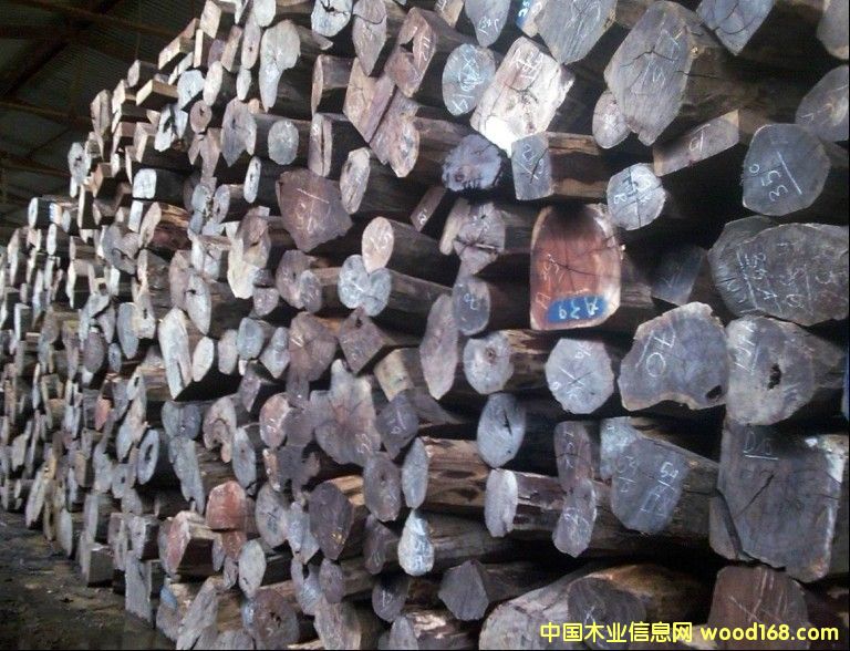 ��֦��Ԕ��(x��)��B