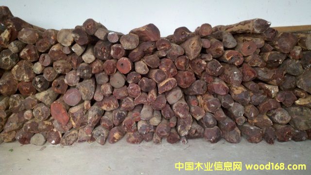 ��̴��Ԕ����B