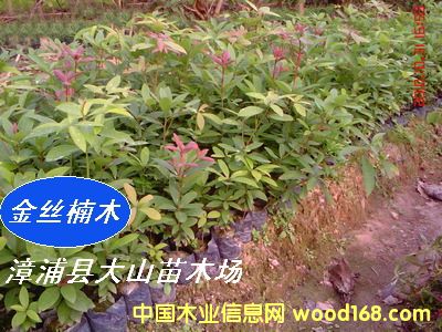 [��] ���ľN�磨�}����E���С�~���������ٻ�����t骣�