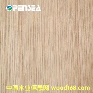 白橡的詳細(xì)介紹