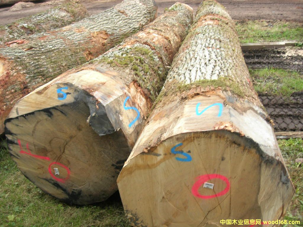 �W��ԭľ��Ԕ����B