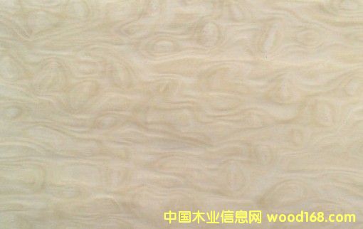 ��Ӱľ�����Ԕ��(x��)��B