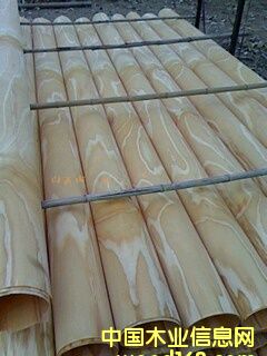 ݗ������Ƥ����1��Ԕ��(x��)��B