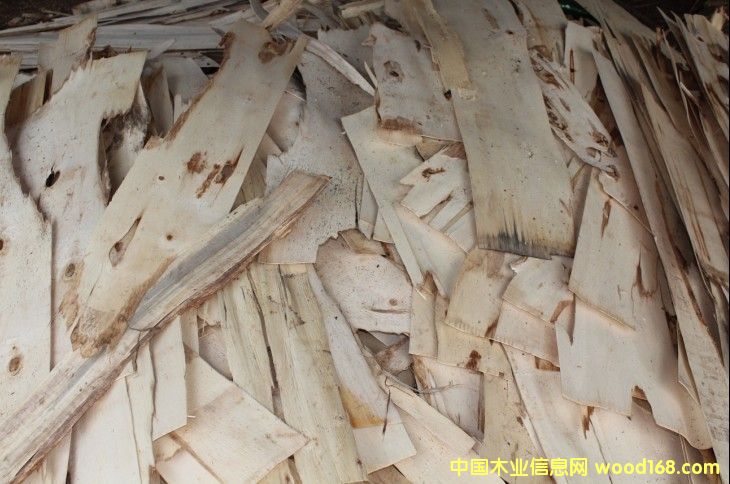 ��ľľƤ����ë�^