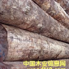 ���l(f��)��(y��u)�|(zh��)�M(j��n)�ڴ�ֱ���o��(ji��)��ݗ����ԭľ