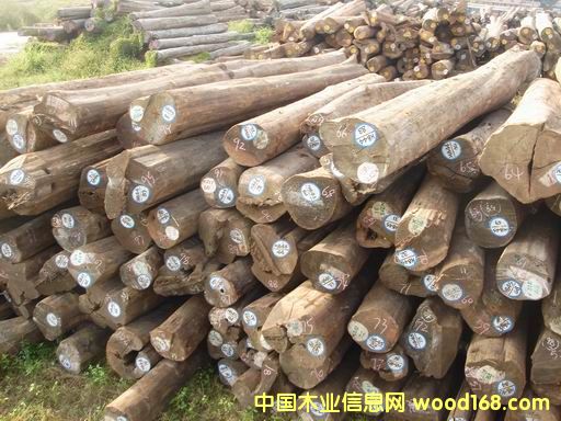 ������ľ����؛����Ԕ��(x��)��B