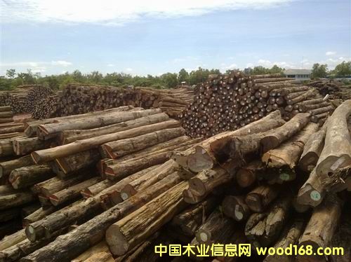 �M(j��n)��ľ����ľԭľ����(y��ng)��Ԕ��(x��)��B