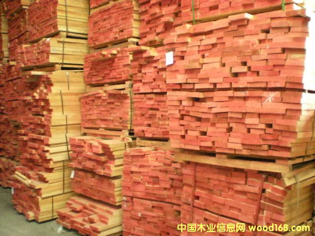 櫸木的詳細介紹