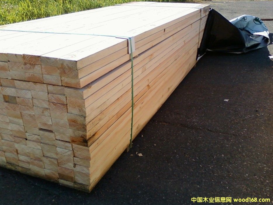 花旗松的詳細(xì)介紹