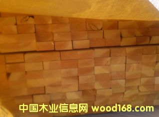 ������ 45mm x 90mm��Ԕ����B