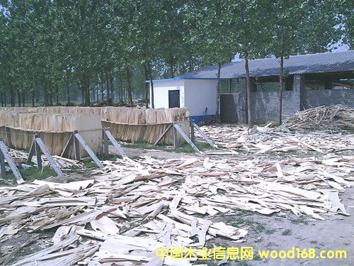 ë�^Ƥ�ӵ�Ԕ��(x��)��B