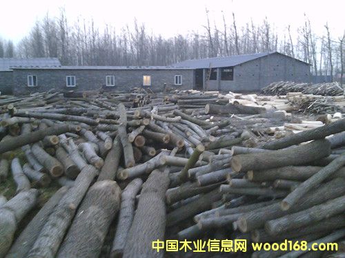 板皮的詳細(xì)介紹