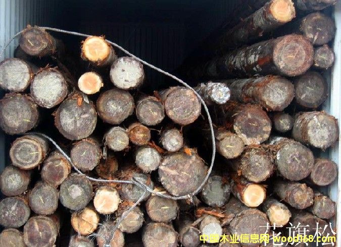 ԭľ�M�ڵ�Ԕ����B