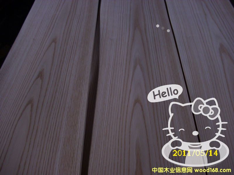 紅橡的詳細(xì)介紹