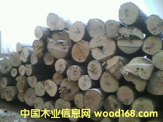 �؃�(y��u)�ľ