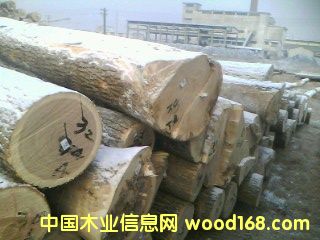 �؃�(y��u)ˮ����ԭľ`��Ԕ����B