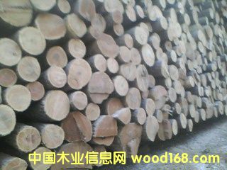 �؃�(y��u)�S���}ԭľ��Ԕ����B