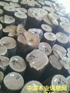 �؃�(y��u)�ľԭľ��Ԕ����B