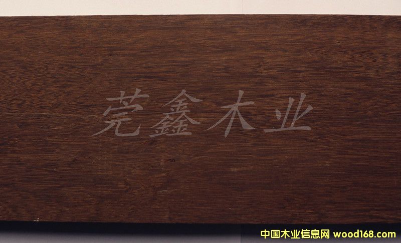 ������ľ�������u�ᣩ��Ԕ��(x��)��B