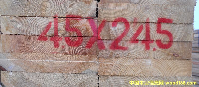 落葉松的詳細(xì)介紹