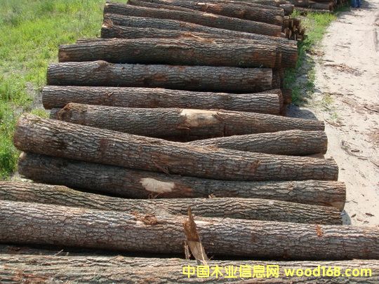 �����m�����Ԕ��(x��)��B